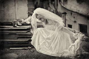 摄影师在线精品,摄影师在线精品作品赏析